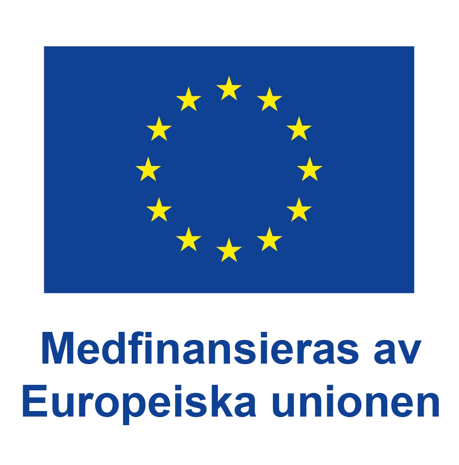 Bild logotyp för EU